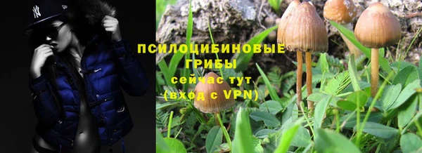 марихуана Гусиноозёрск