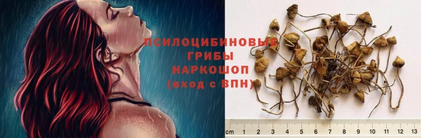 гашиш Гусев