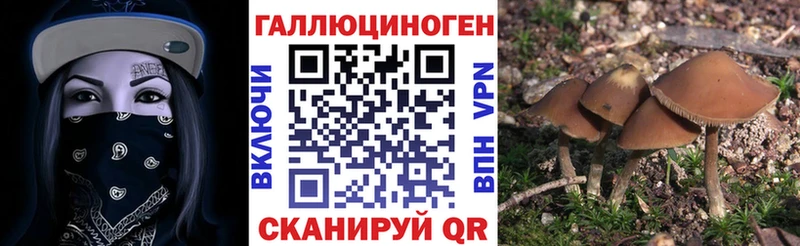 Псилоцибиновые грибы ЛСД  Смоленск 